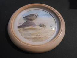 Ring Plover and Chick (5-inch)